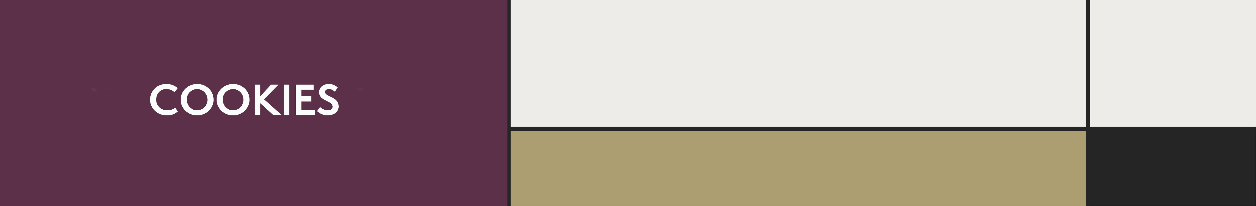 TE-Banner-09-Cookies